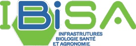 ibisa